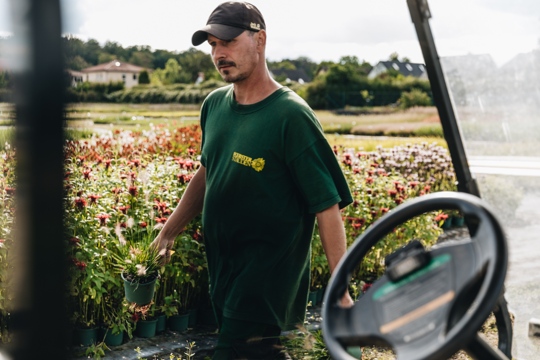 Förster Stauden Reportage