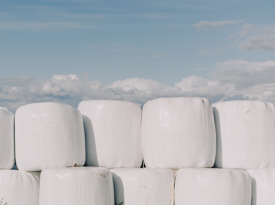 Processed with VSCO with fp4 preset