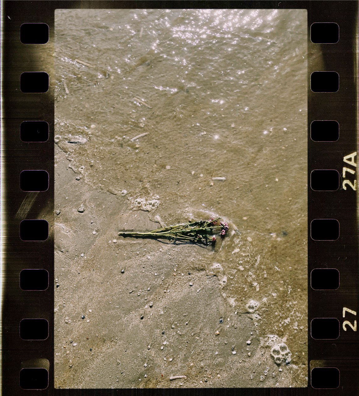 photo_2025-05-21 12.05.02